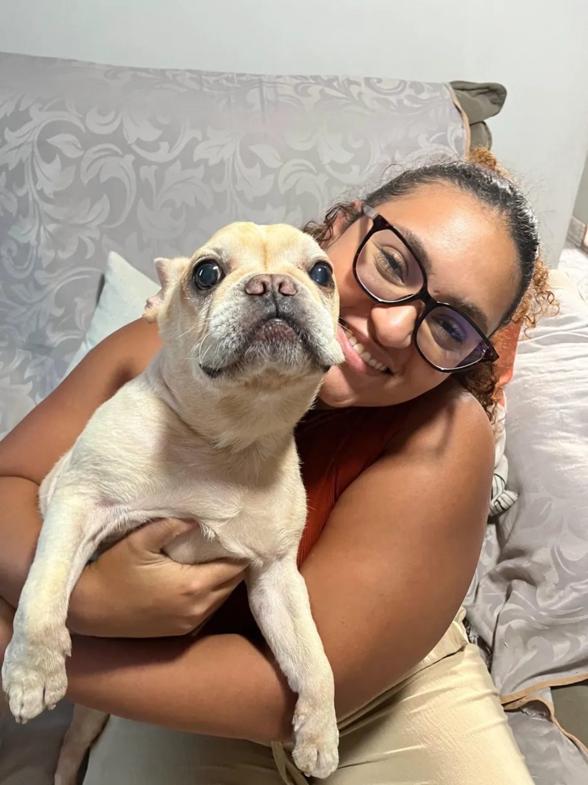 Dra. Mariana oferecendo petisco para dois cães shiba inu durante consulta domiciliar