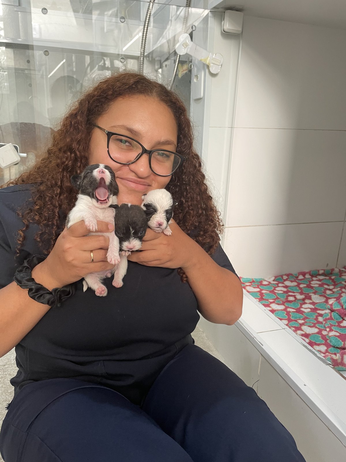 Dra. Mariana Helen sorrindo com três filhotes recém-nascidos no colo durante atendimento veterinário
