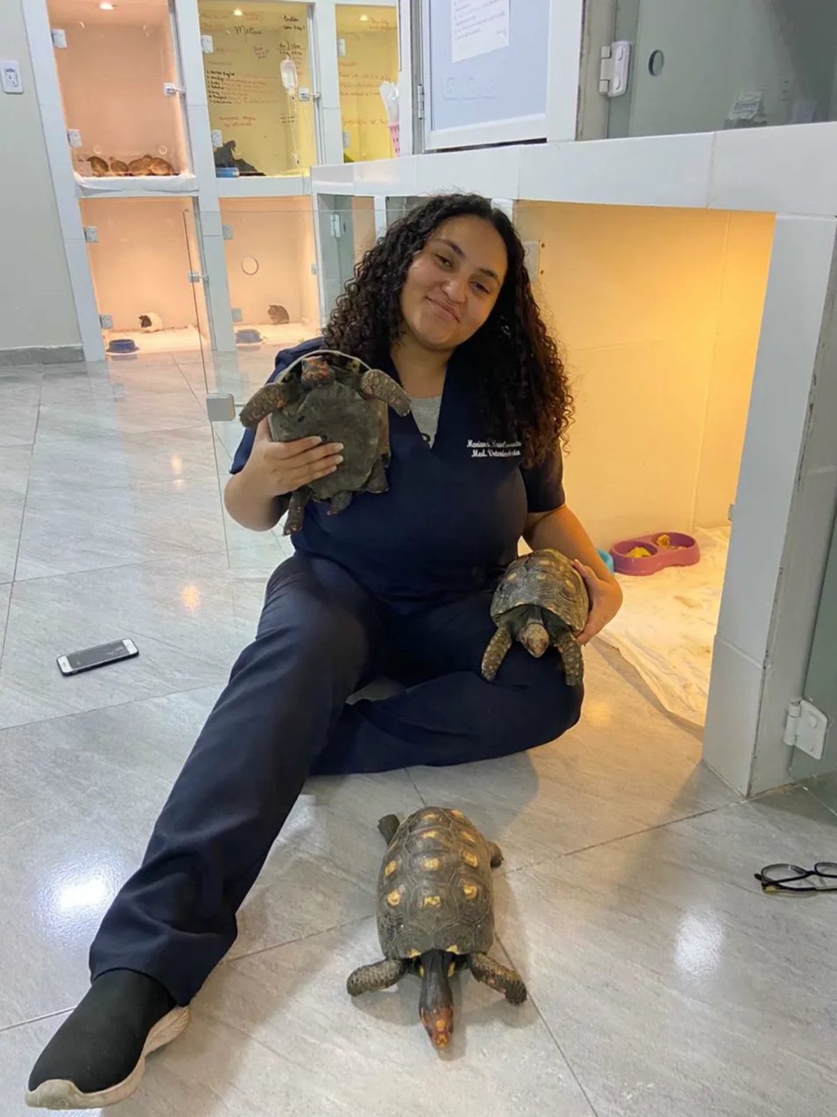 Dra. Mariana atendendo jabutis, espécie rara na rotina veterinária