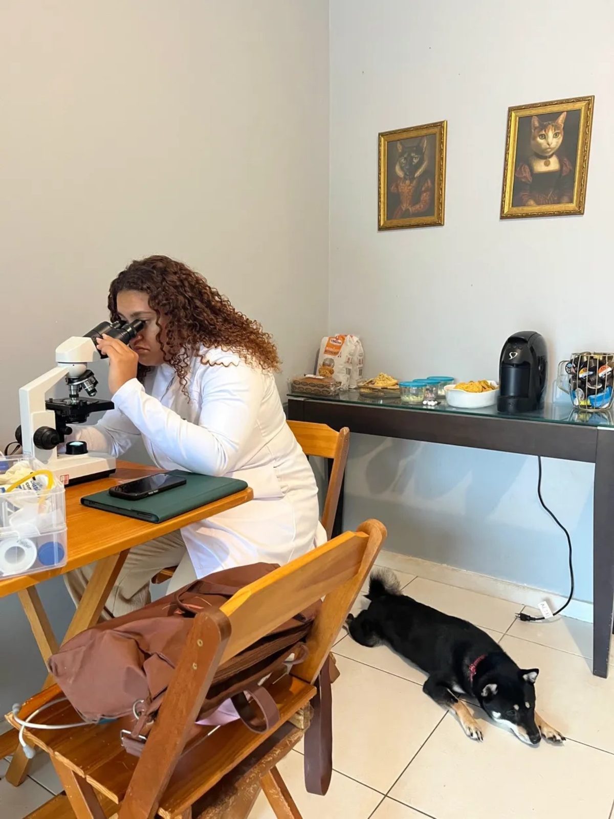 No microscópio com cão ao lado